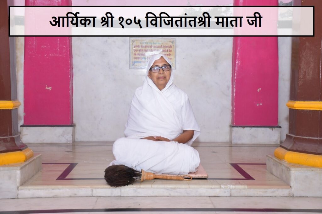 vijitant-shree-ji gallery
